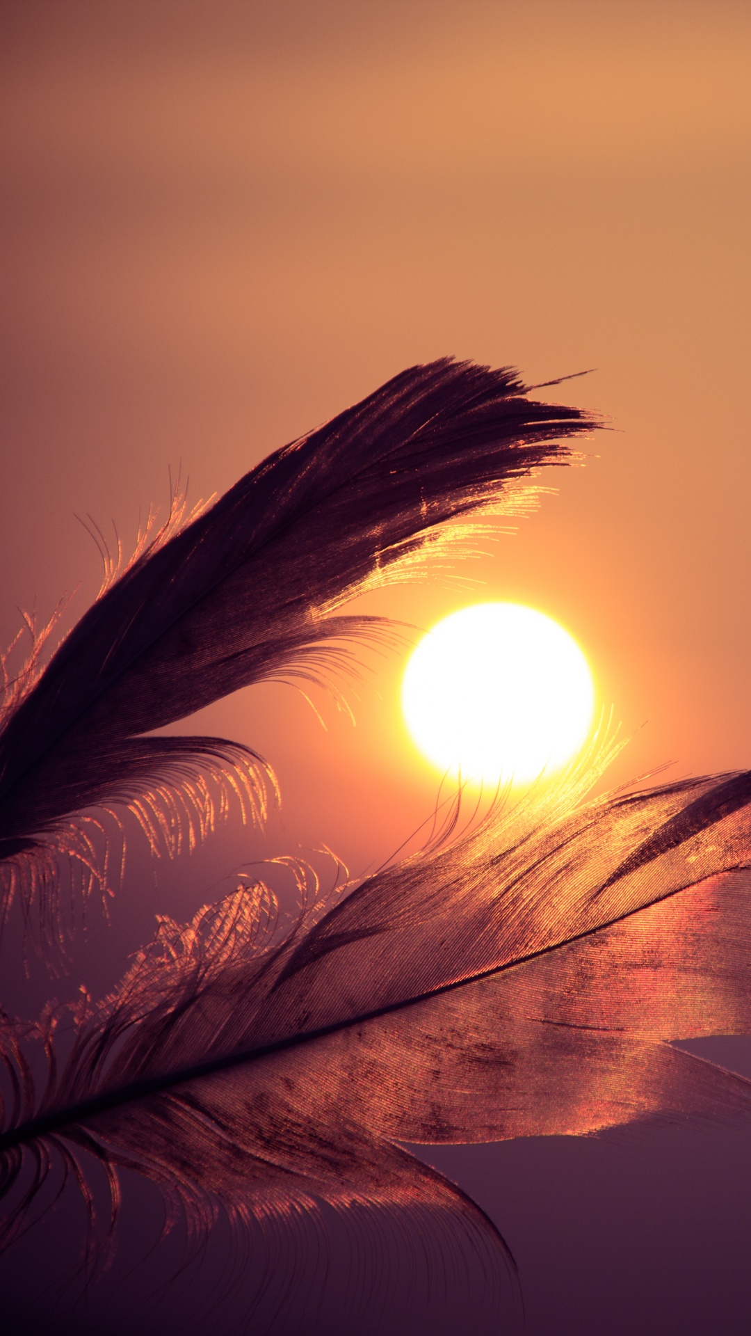 Brown Feather With Sun Rays. Wallpaper in 1080x1920 Resolution