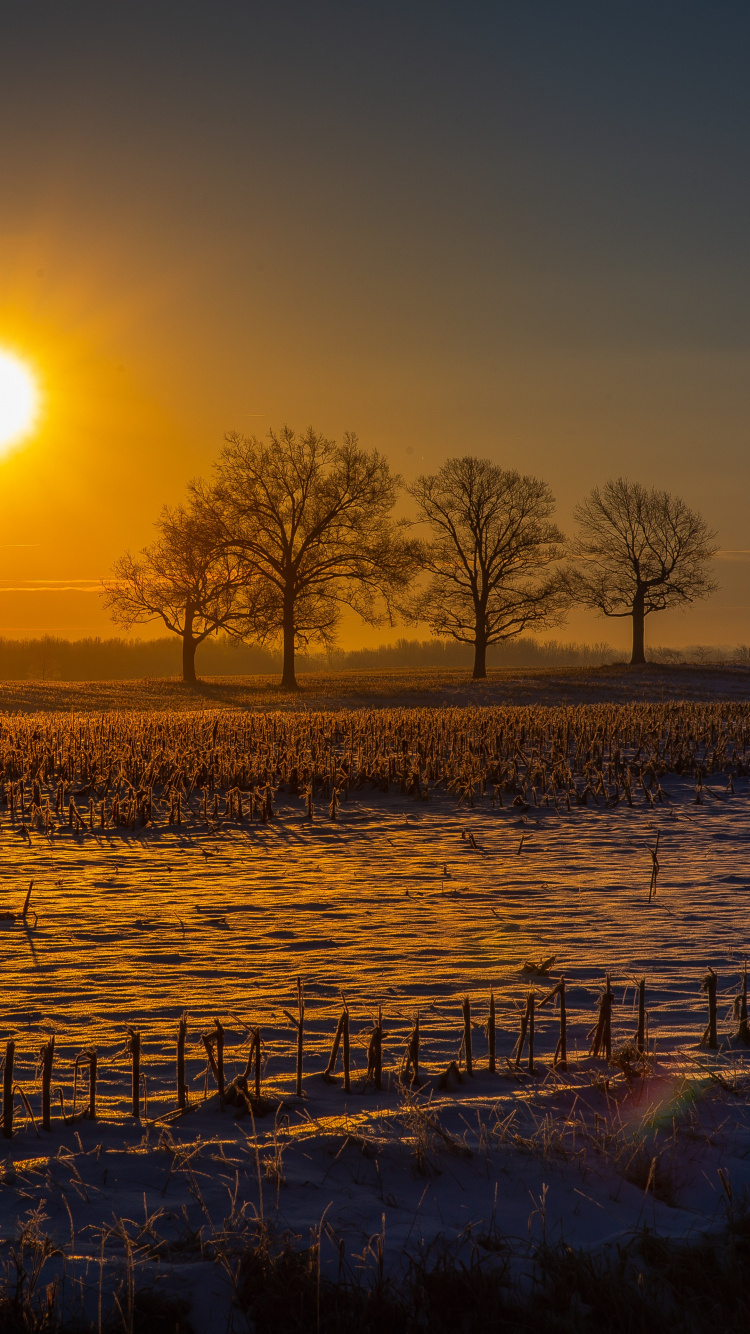 Paysage Naturel, Nature, Lever, Matin, Soleil. Wallpaper in 750x1334 Resolution