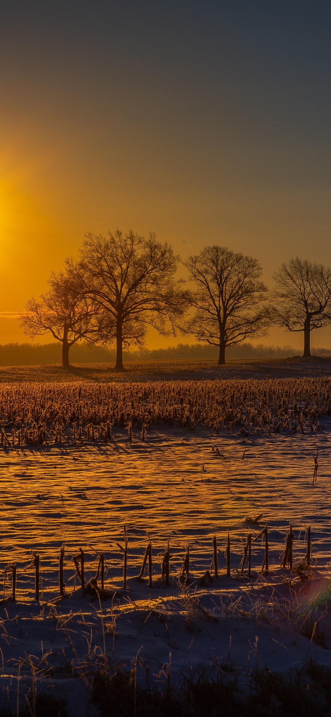 Sunset, Natural Landscape, Nature, Sunrise, Morning. Wallpaper in 1125x2436 Resolution