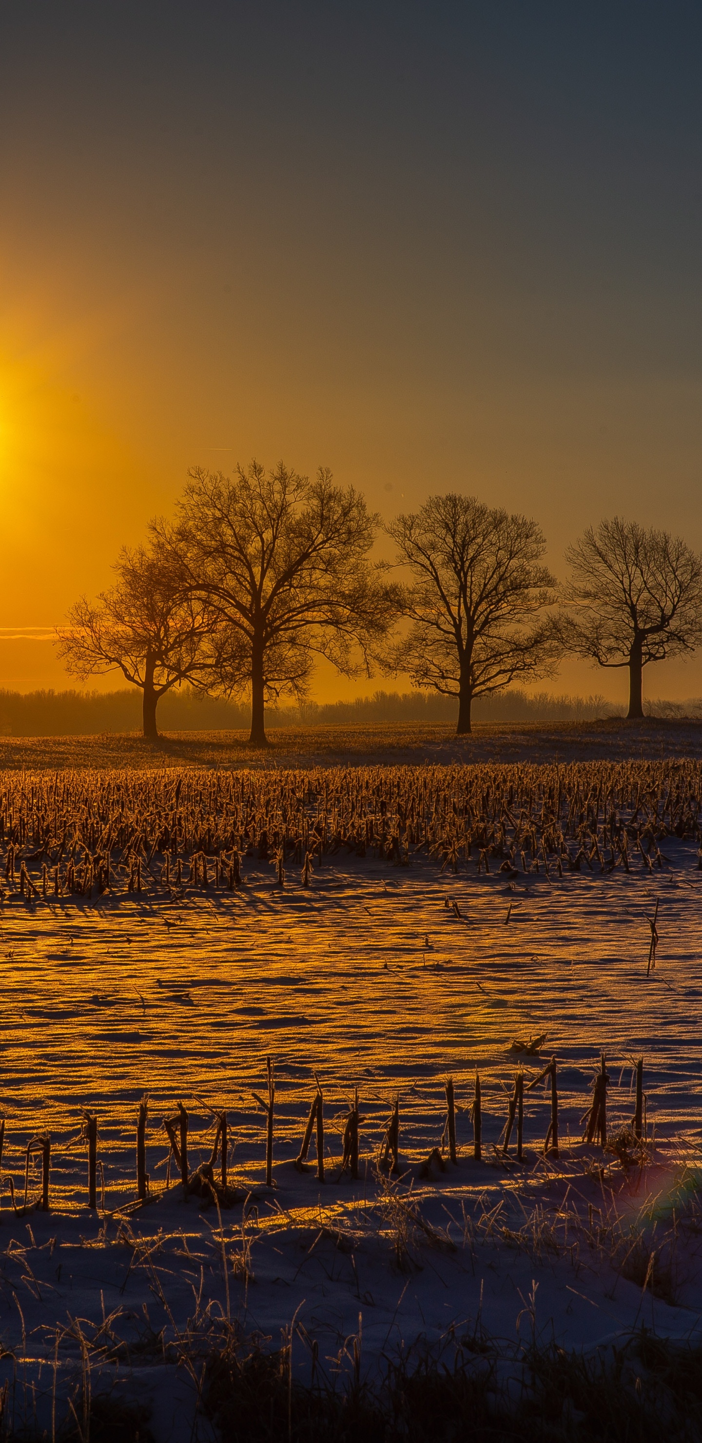 Sunset, Natural Landscape, Nature, Sunrise, Morning. Wallpaper in 1440x2960 Resolution