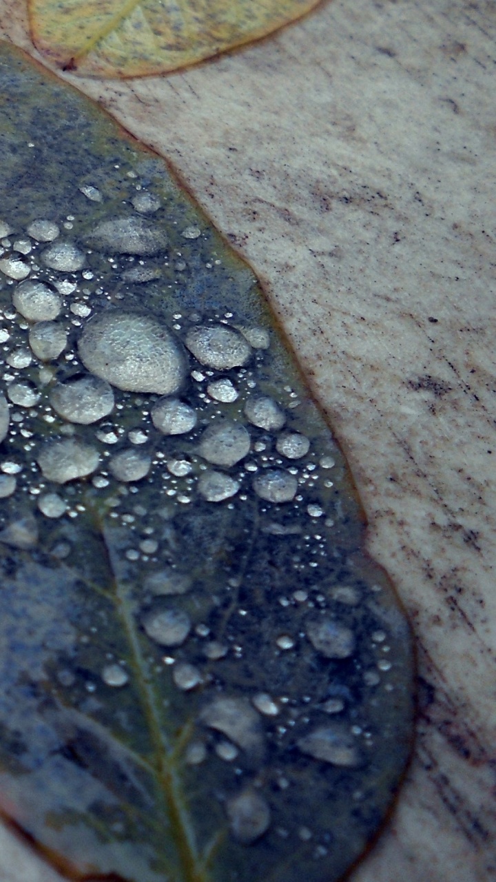 Water Droplets on Brown Wooden Surface. Wallpaper in 720x1280 Resolution