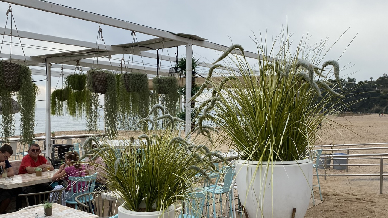 Biologie, Sciences, Mobilier, Table, Flowerpot. Wallpaper in 1280x720 Resolution