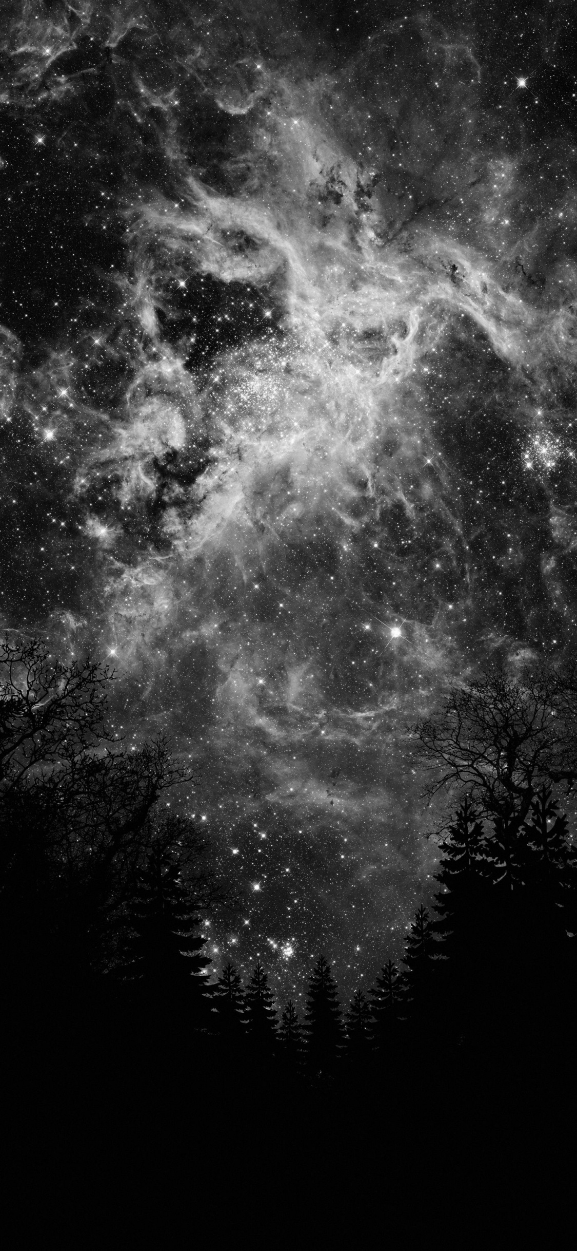 Teleskop Tarantelnebel Hubble, Tarantula-Nebel, Hubble-space-Teleskop, Raum, Stern. Wallpaper in 1125x2436 Resolution