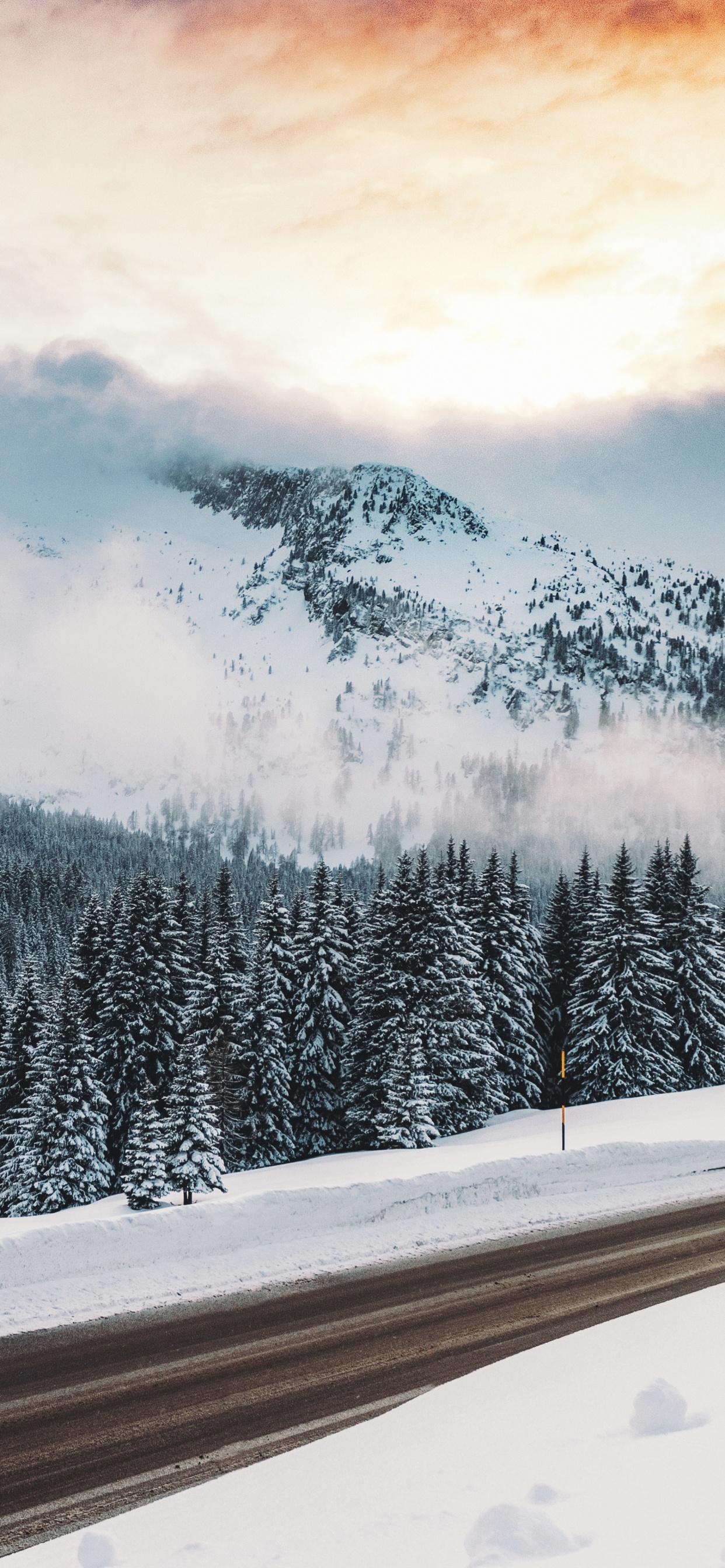 Winter, Schnee, Natur, Cloud, Baum. Wallpaper in 1242x2688 Resolution