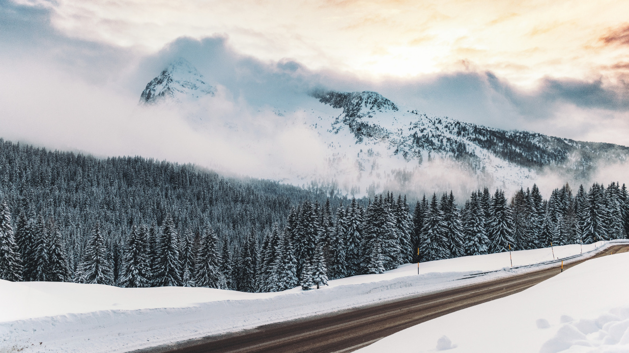 Winter, Schnee, Natur, Cloud, Baum. Wallpaper in 1280x720 Resolution