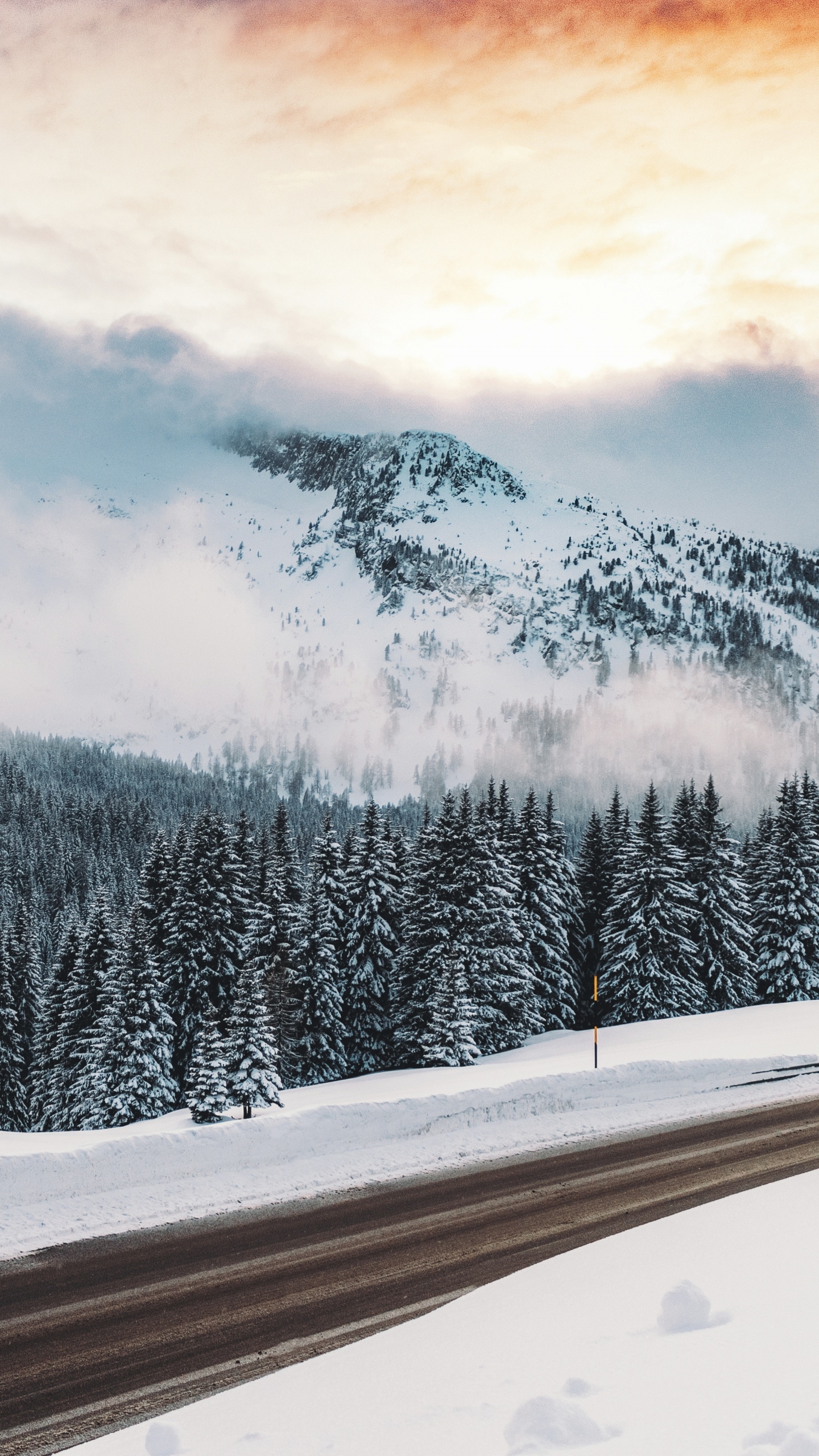 Winter, Schnee, Natur, Cloud, Baum. Wallpaper in 1440x2560 Resolution