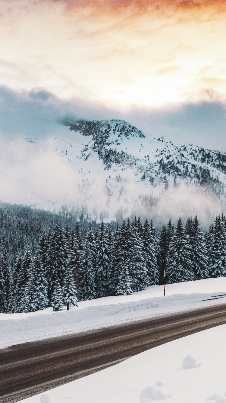 Winter, Schnee, Natur, Cloud, Baum. Wallpaper in 750x1334 Resolution