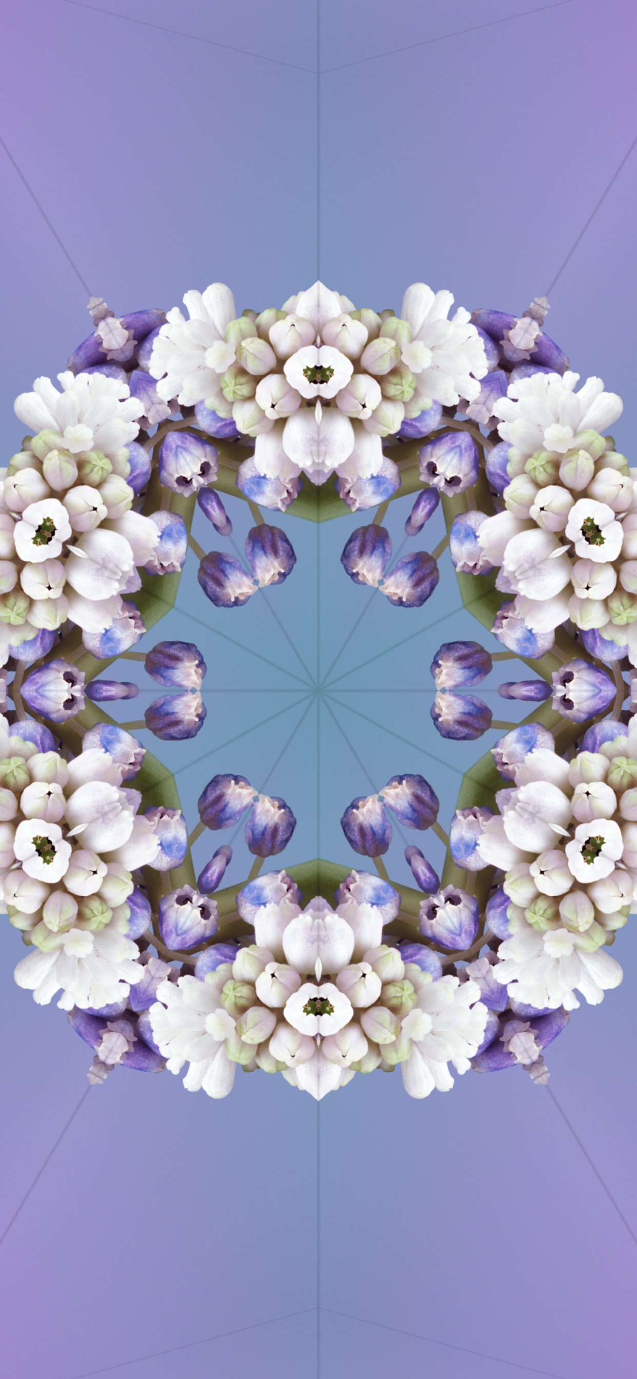 Ios 17, Aleidoscopio Ios 17, Manzana, Aclaré, Blanco. Wallpaper in 1242x2688 Resolution