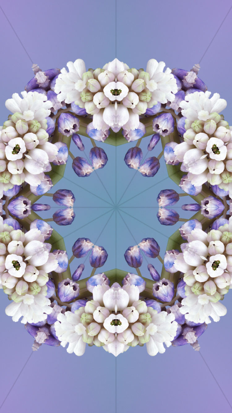 Ios 17, Aleidoscopio Ios 17, Manzana, Aclaré, Blanco. Wallpaper in 750x1334 Resolution