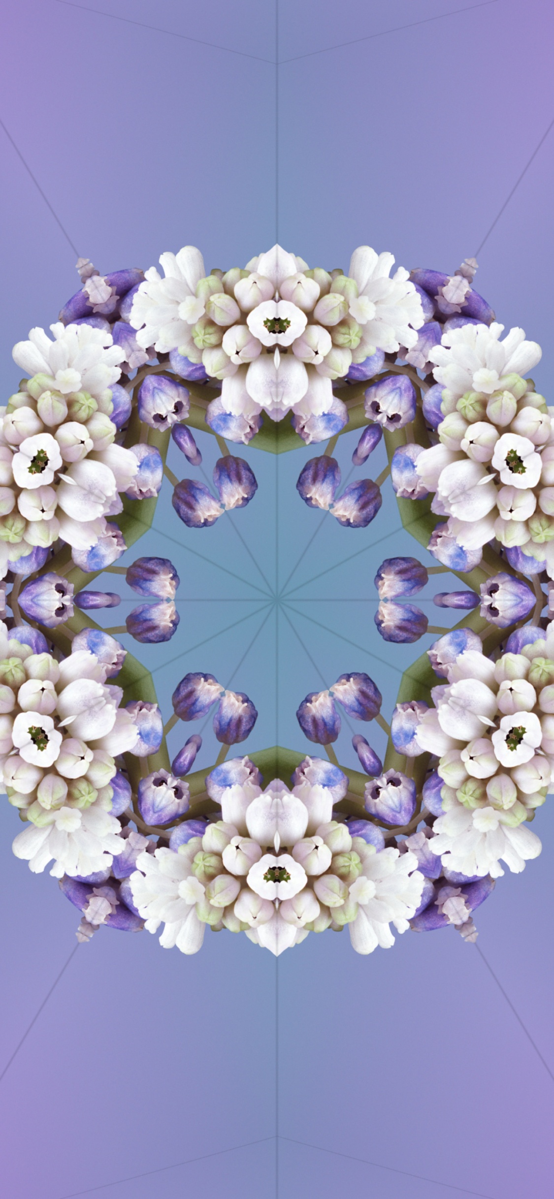 Ios 17, Ios 17 Aléidoscope, Apple, Iclarifié, White. Wallpaper in 1125x2436 Resolution