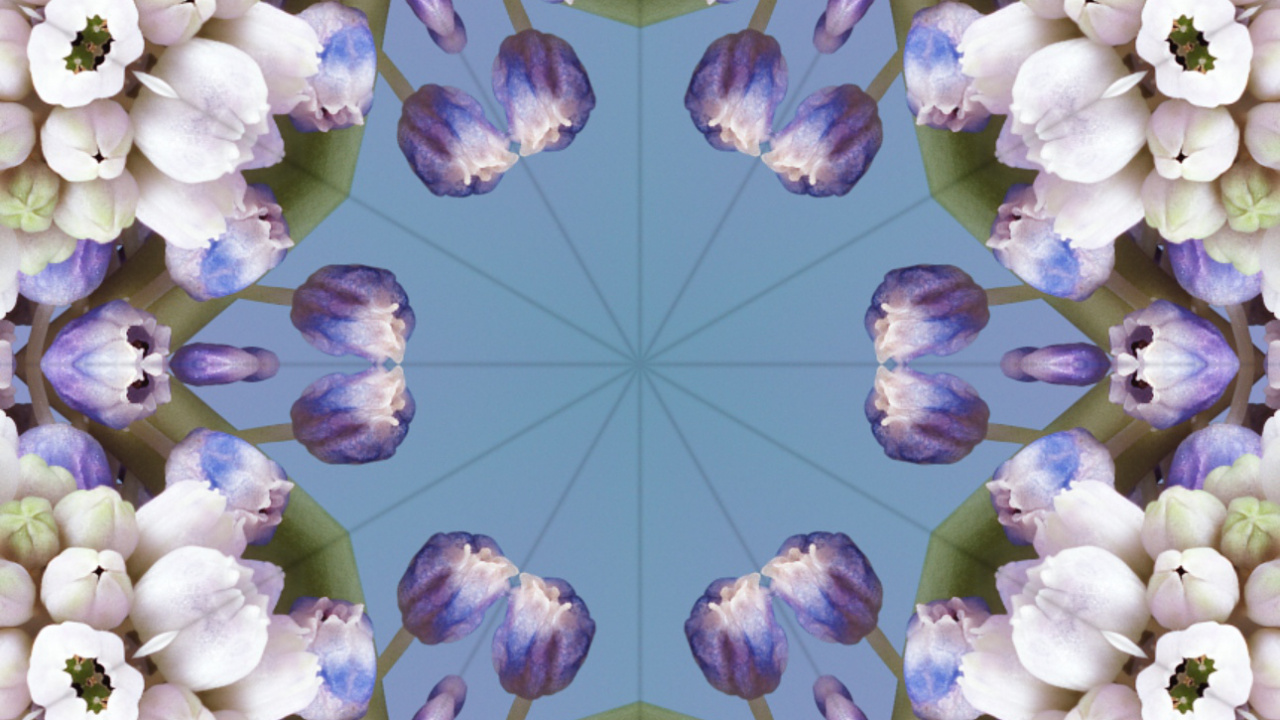 Ios 17, Ios 17 Aléidoscope, Apple, Iclarifié, White. Wallpaper in 1280x720 Resolution