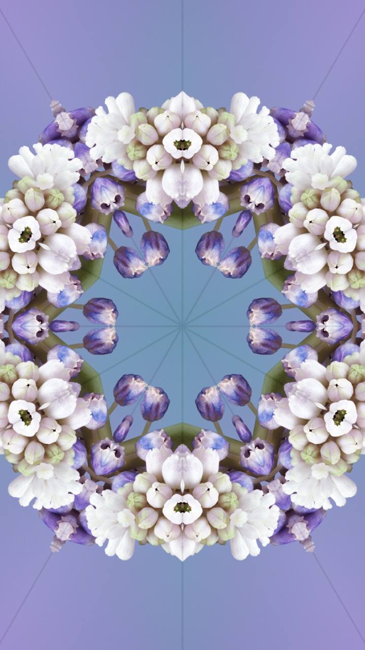 Ios 17, Ios 17 Aléidoscope, Apple, Iclarifié, White. Wallpaper in 720x1280 Resolution