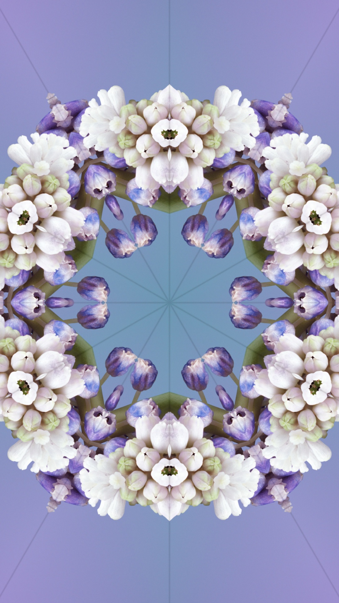 Ios 17, Ios 17 Aleidoscope, Apples, Iclarified, Flower. Wallpaper in 1080x1920 Resolution