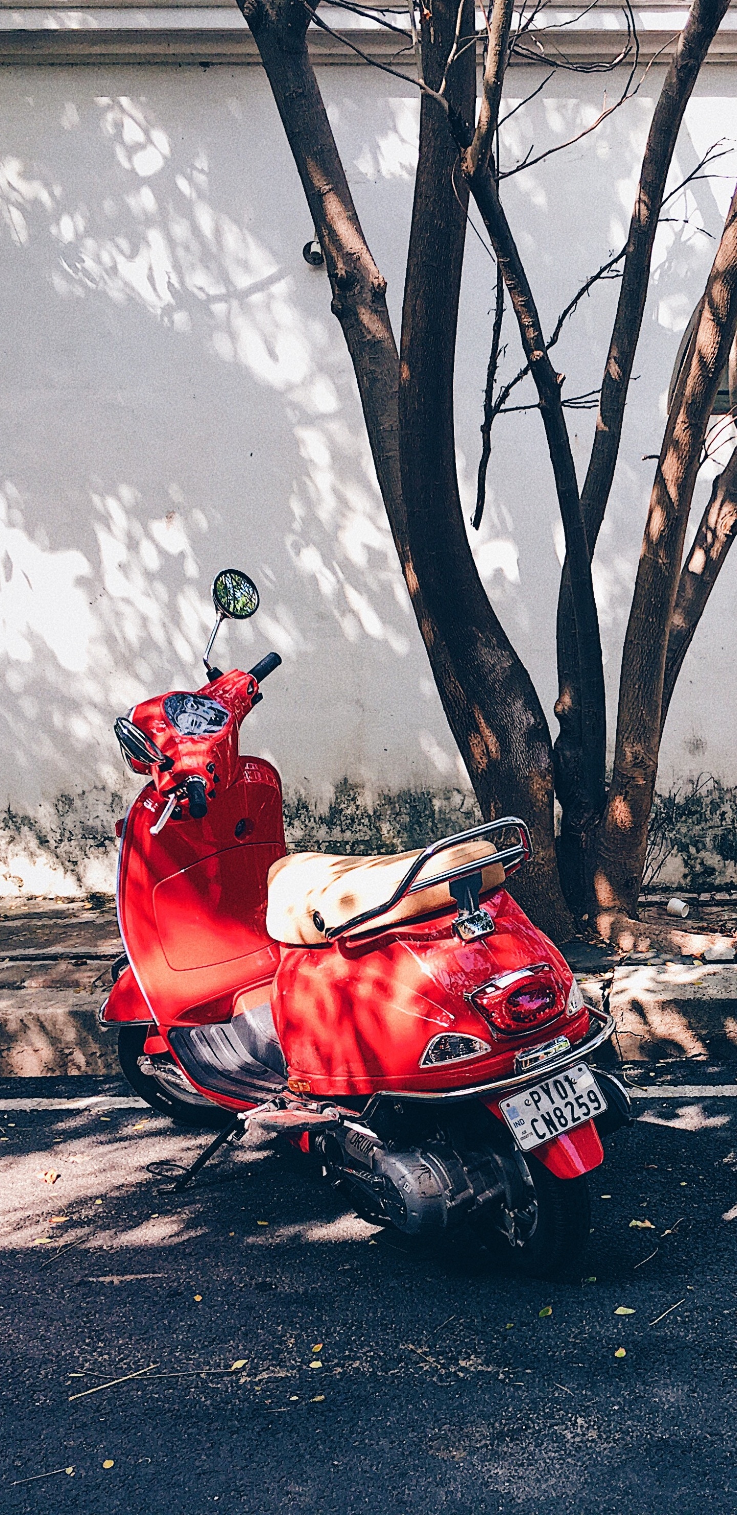 Mann in Roter Jacke, Der Tagsüber Mit Rotem Motorroller Unterwegs Ist. Wallpaper in 1440x2960 Resolution