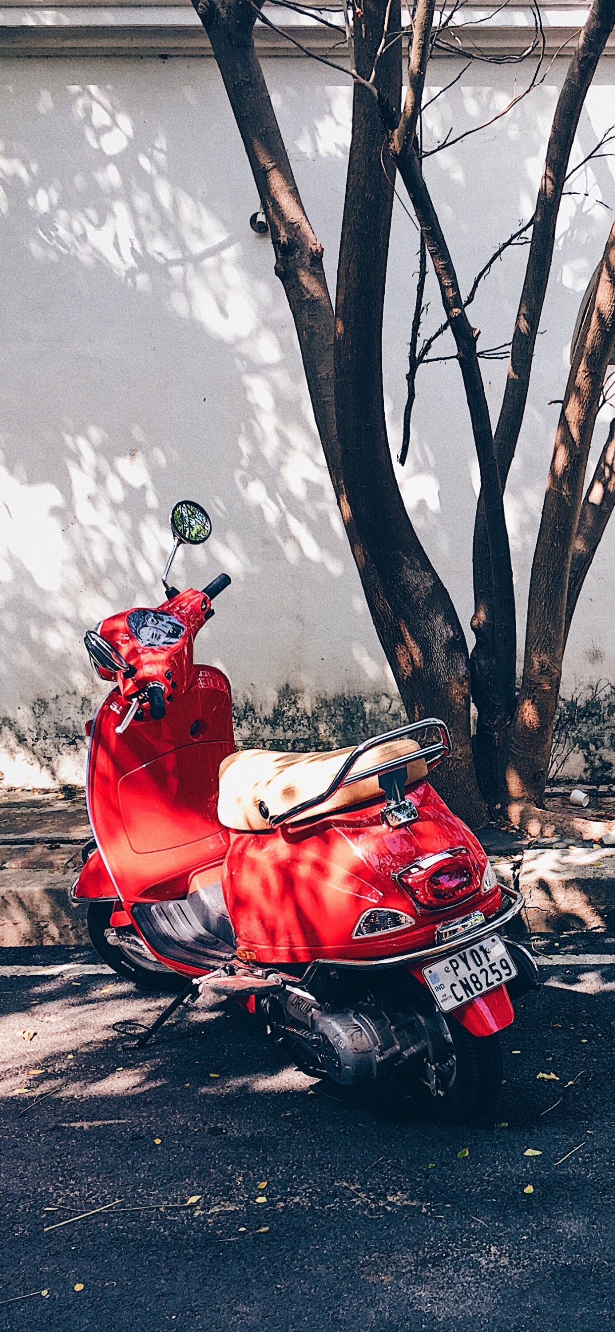 滑板车, 轻便摩托车, 胡蜂, 红色的, 天空 壁纸 1242x2688 允许