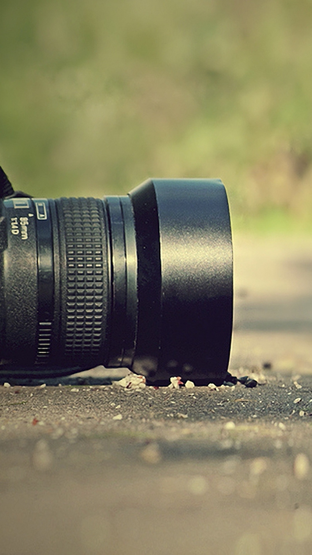 Camera, Bird, Wildlife, Beak, Digital Cameras. Wallpaper in 1080x1920 Resolution