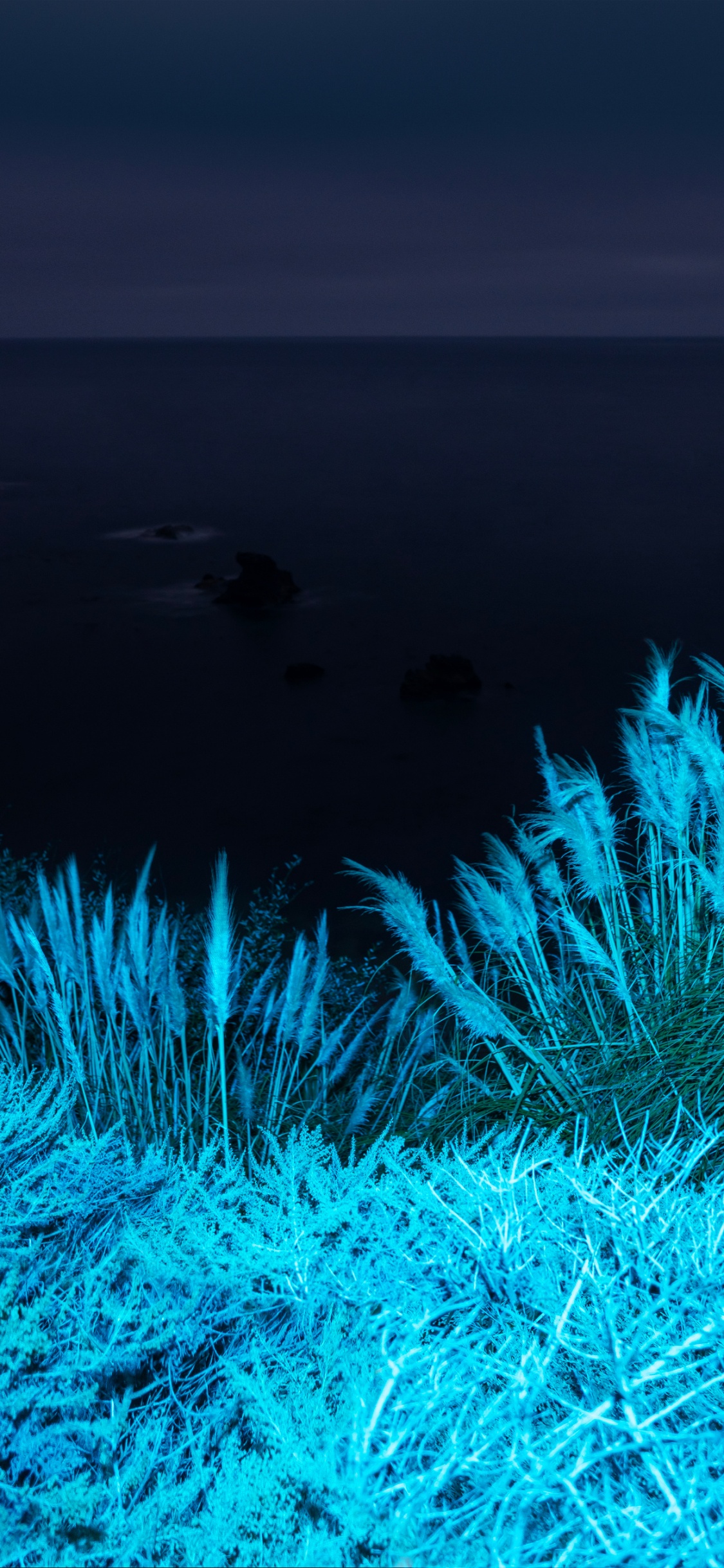 Apple, IPhone 12 Pro, IPhone 12 Pro Max, IPhone XS Max, MacOS Big Sur. Wallpaper in 1125x2436 Resolution