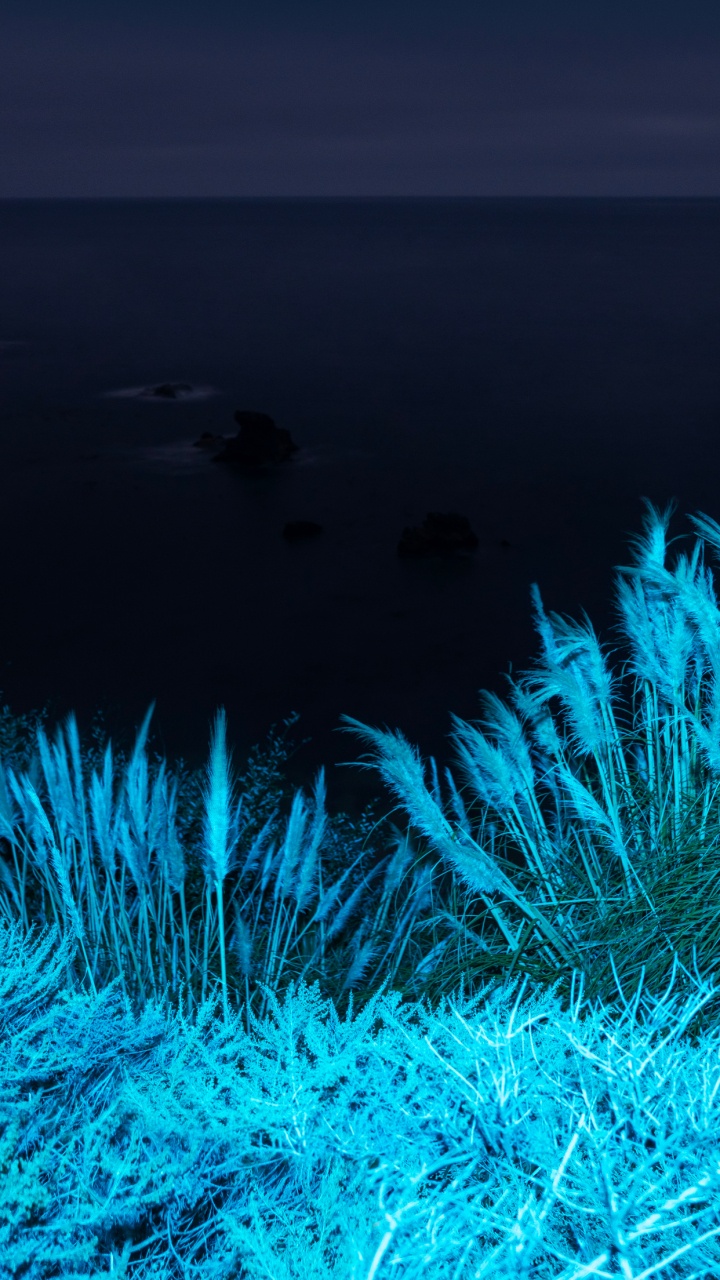 Apple, IPhone 12 Pro, IPhone 12 Pro Max, IPhone XS Max, MacOS Big Sur. Wallpaper in 720x1280 Resolution