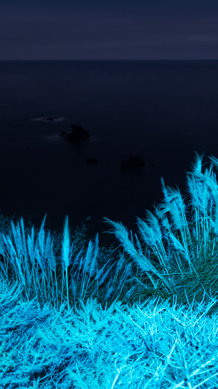 Apple, IPhone 12 Pro, IPhone 12 Pro Max, IPhone XS Max, MacOS Big Sur. Wallpaper in 750x1334 Resolution