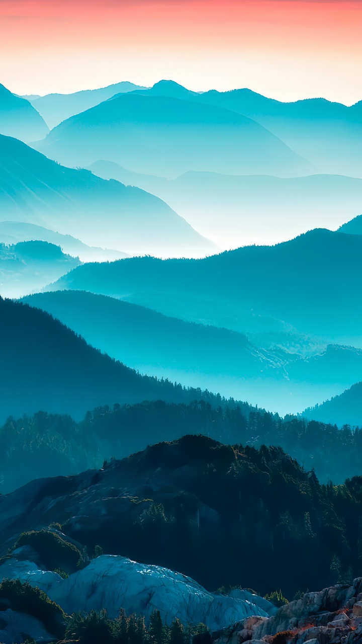 Cumbre, El Bazar de Harper, Weibo, 1886, Neblina. Wallpaper in 720x1280 Resolution