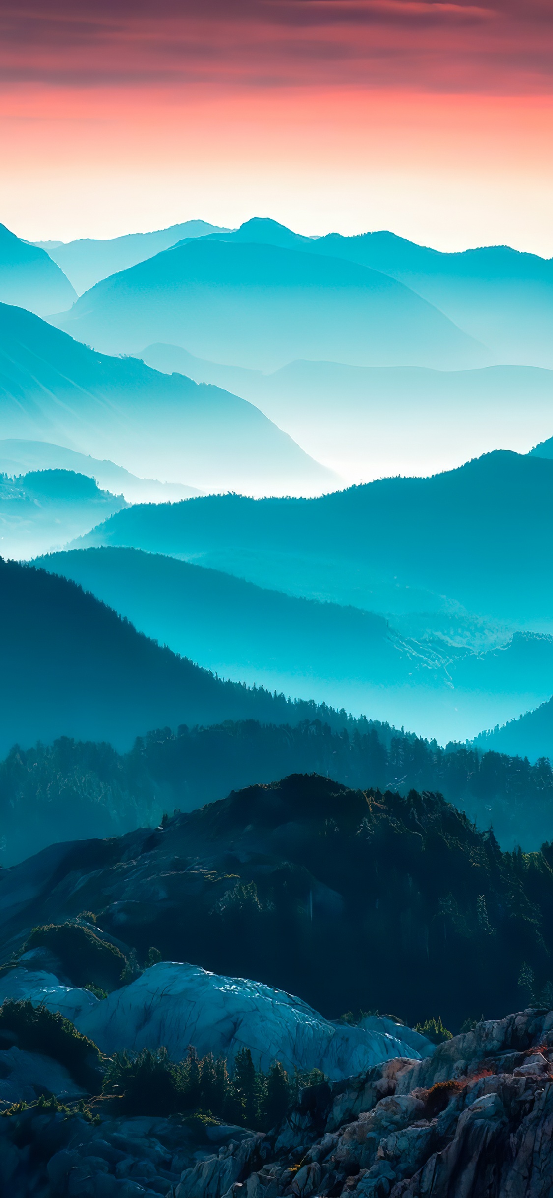 Gipfel, Mode, Harpers Basar, Weibo, 1886. Wallpaper in 1125x2436 Resolution