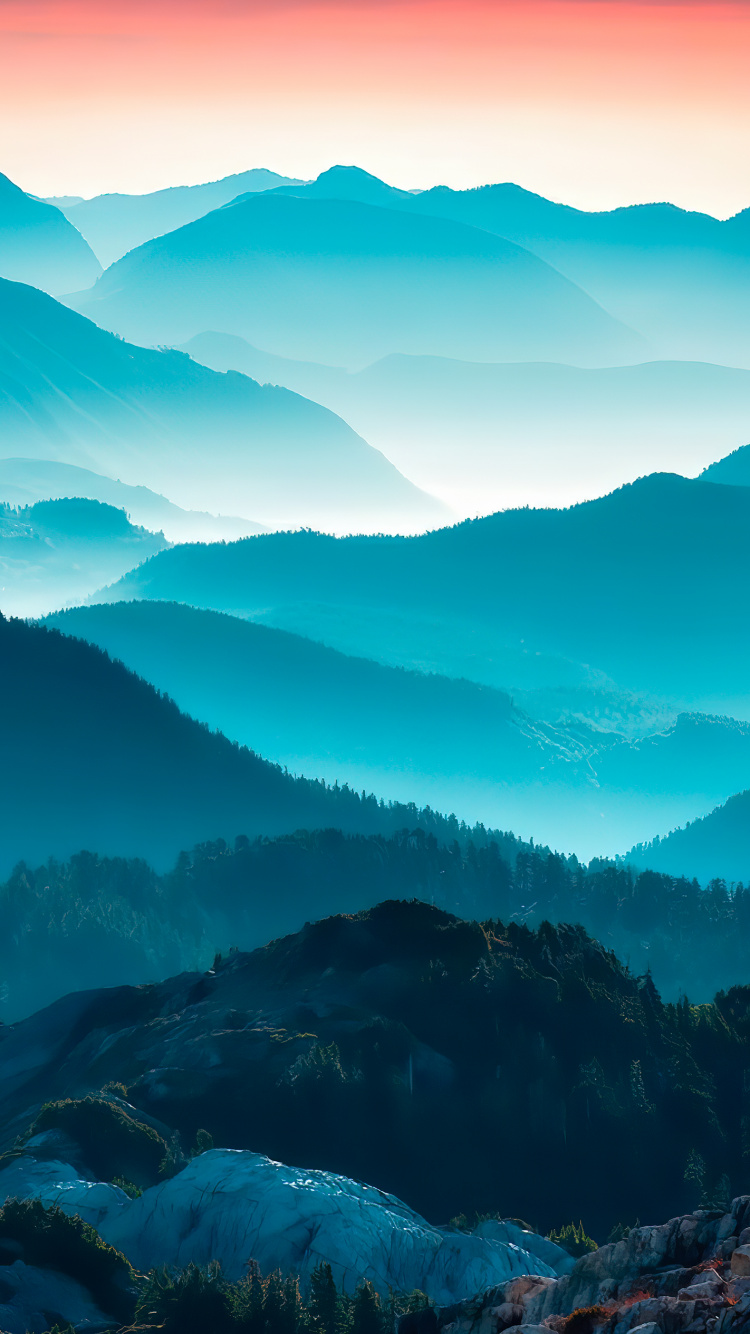 Gipfel, Mode, Harpers Basar, Weibo, 1886. Wallpaper in 750x1334 Resolution