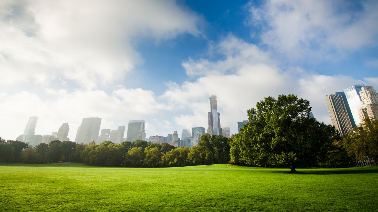 Green Grass Field Near City Buildings Under Blue and White Sunny Cloudy Sky During Daytime. Wallpaper in 1280x720 Resolution