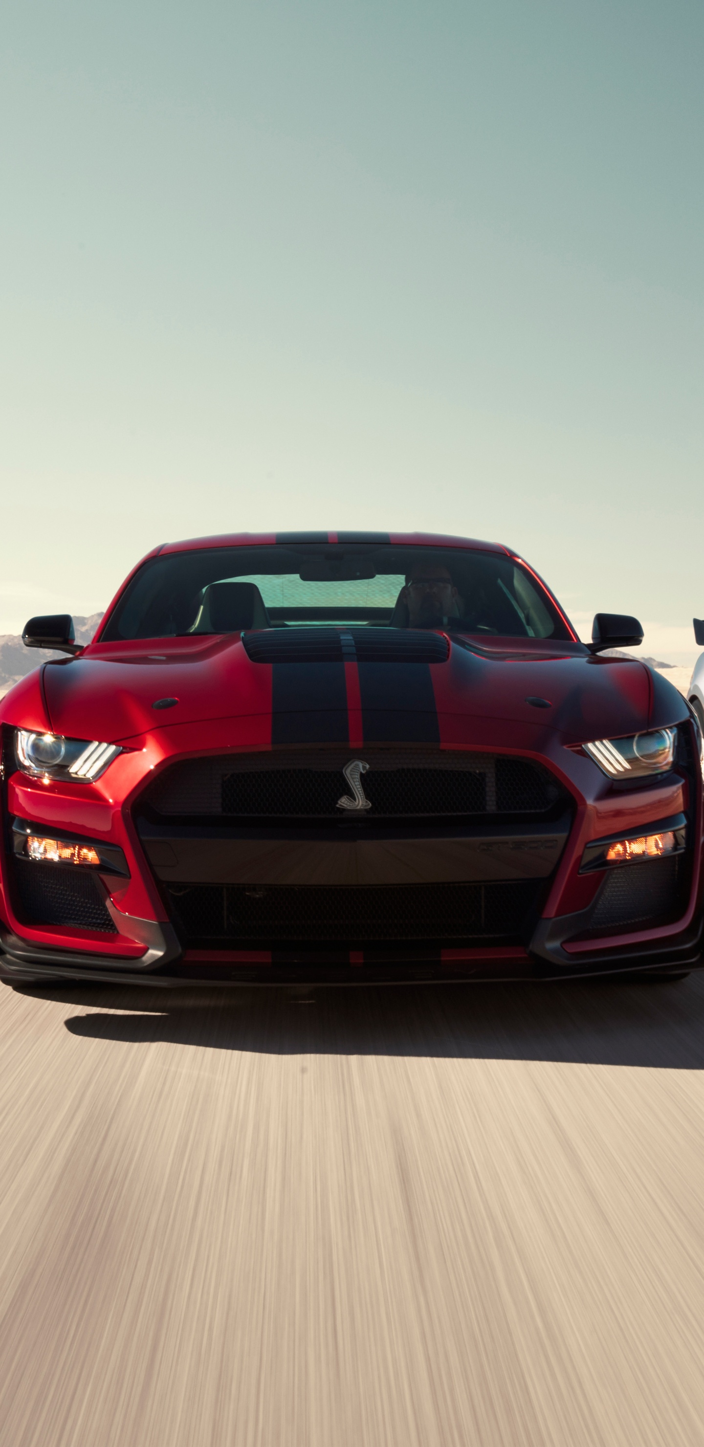 Red Chevrolet Camaro on Road. Wallpaper in 1440x2960 Resolution