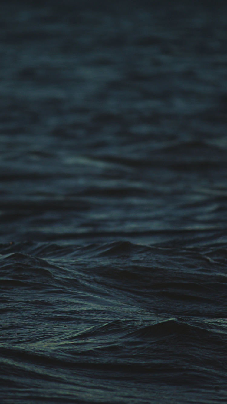 Body of Water During Daytime. Wallpaper in 750x1334 Resolution