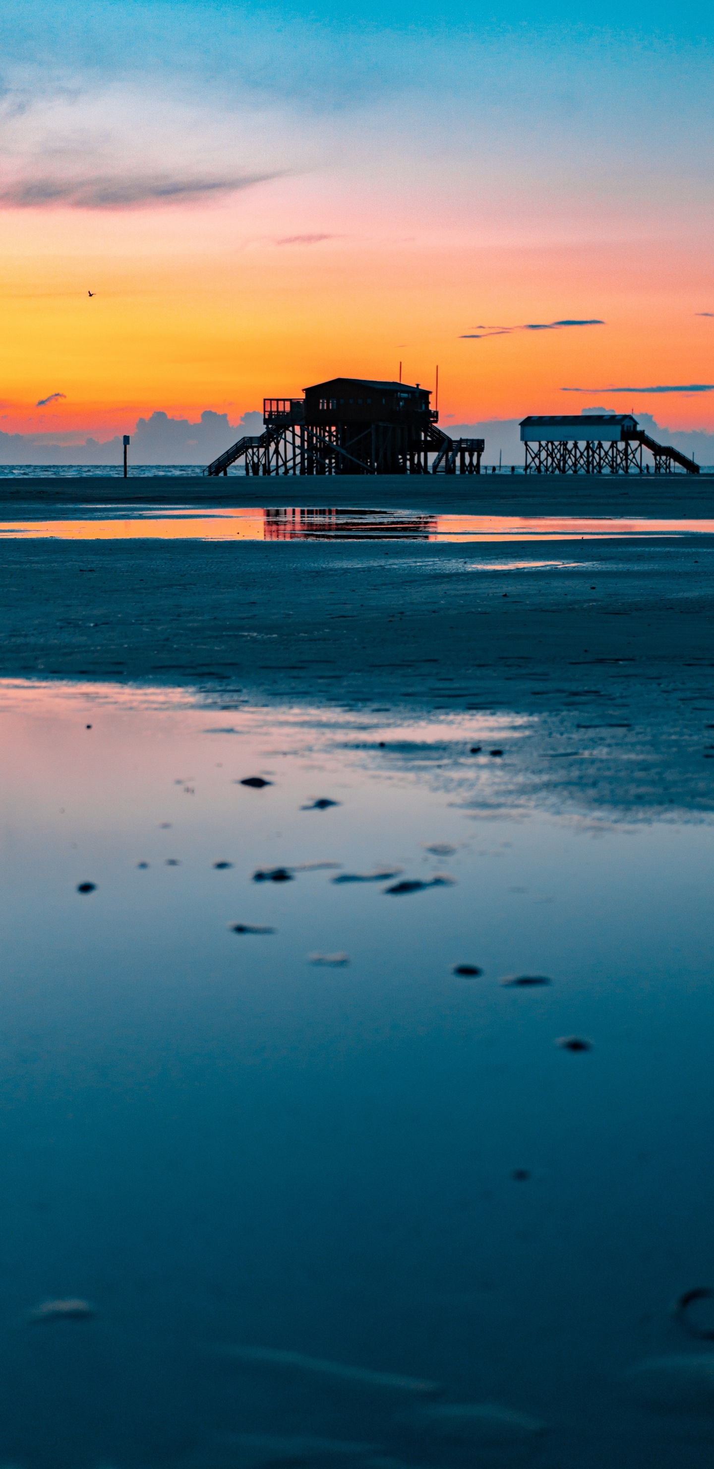 大海, 人体内的水, 海洋, 地平线, 反射 壁纸 1440x2960 允许