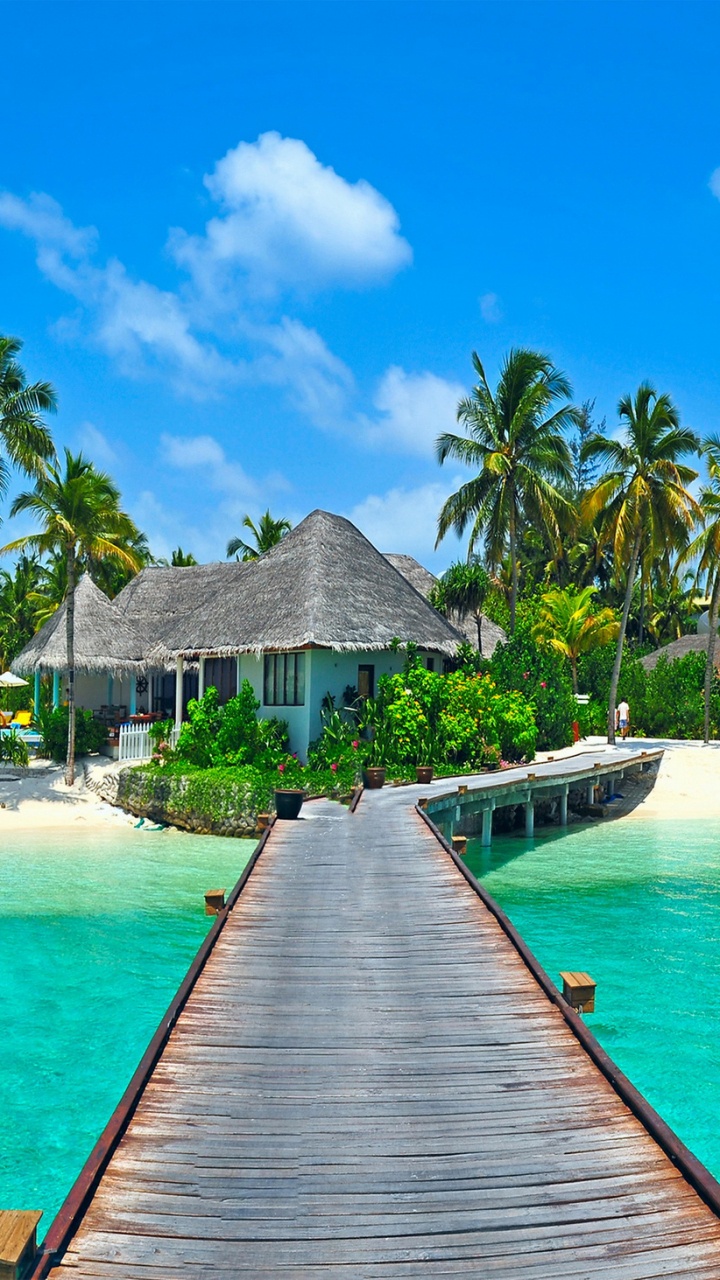 Brown Wooden Dock Near Green Palm Trees During Daytime. Wallpaper in 720x1280 Resolution