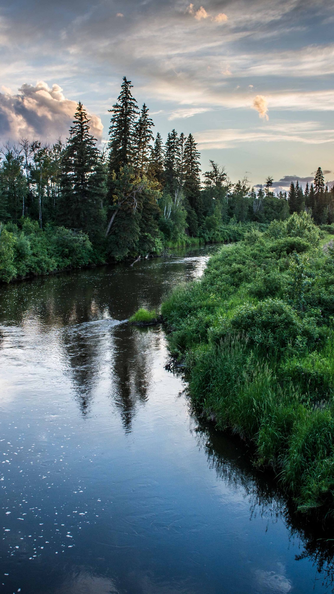 Green Trees Beside River Under Cloudy Sky During Daytime. Wallpaper in 1080x1920 Resolution