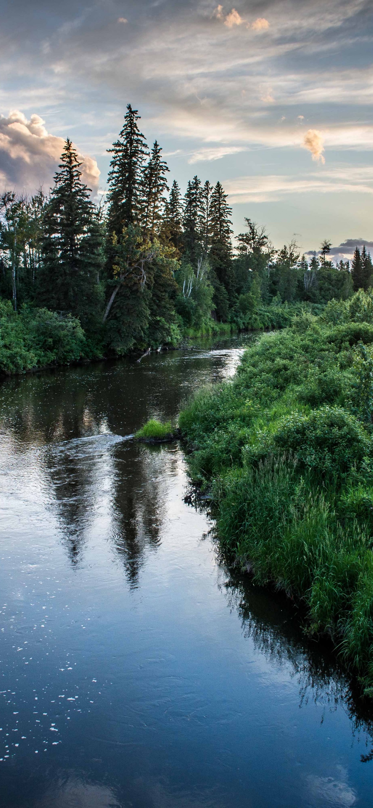 Green Trees Beside River Under Cloudy Sky During Daytime. Wallpaper in 1242x2688 Resolution