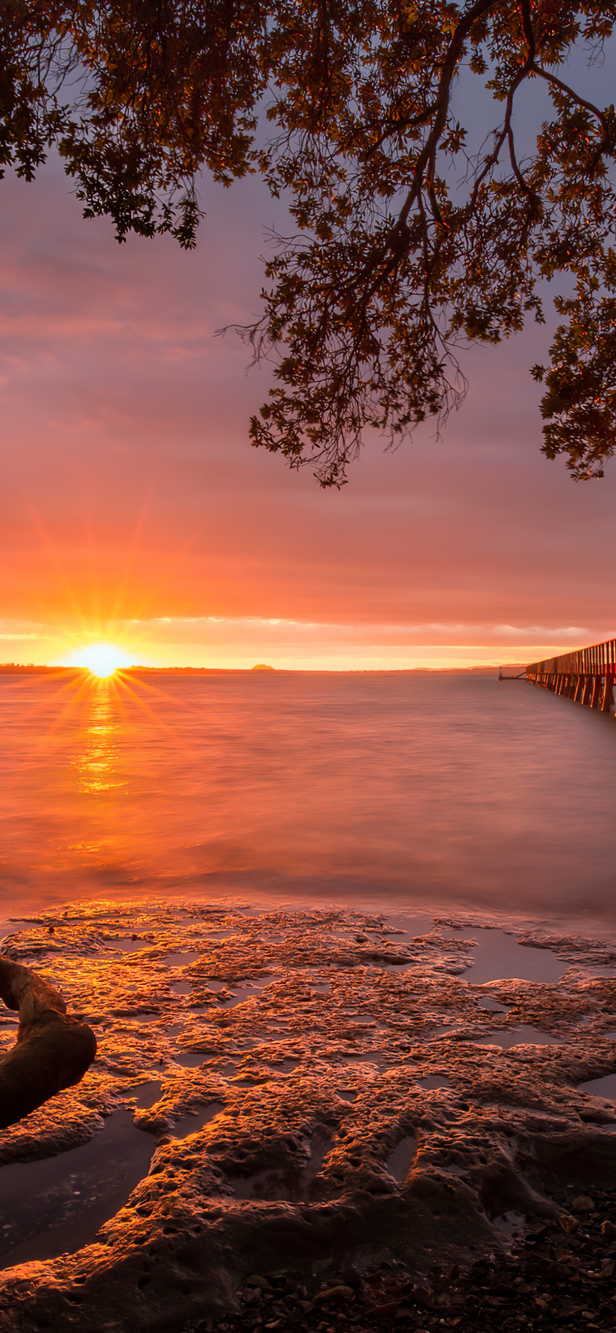 风景画, 气氛, 余辉, 光, 自然景观 壁纸 1242x2688 允许