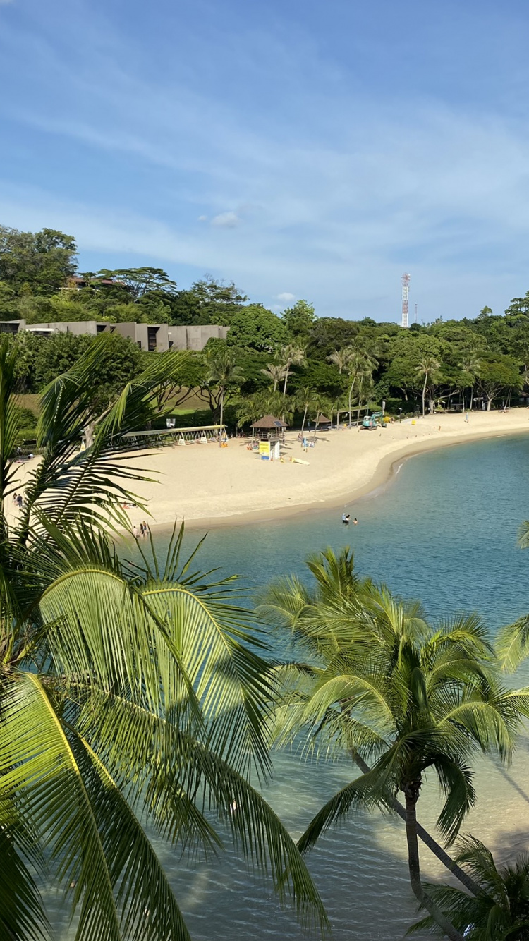 Vegetation, Palm Trees, Water, Tourism, Body of Water. Wallpaper in 750x1334 Resolution