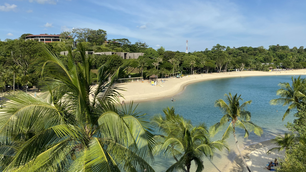 Vegetation, Palme, Wasser, Tourismus, Gewässer. Wallpaper in 1280x720 Resolution