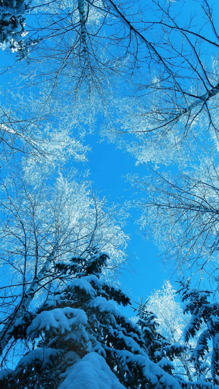 Person in White Shirt Standing on Snow Covered Ground Under Blue Sky During Daytime. Wallpaper in 750x1334 Resolution