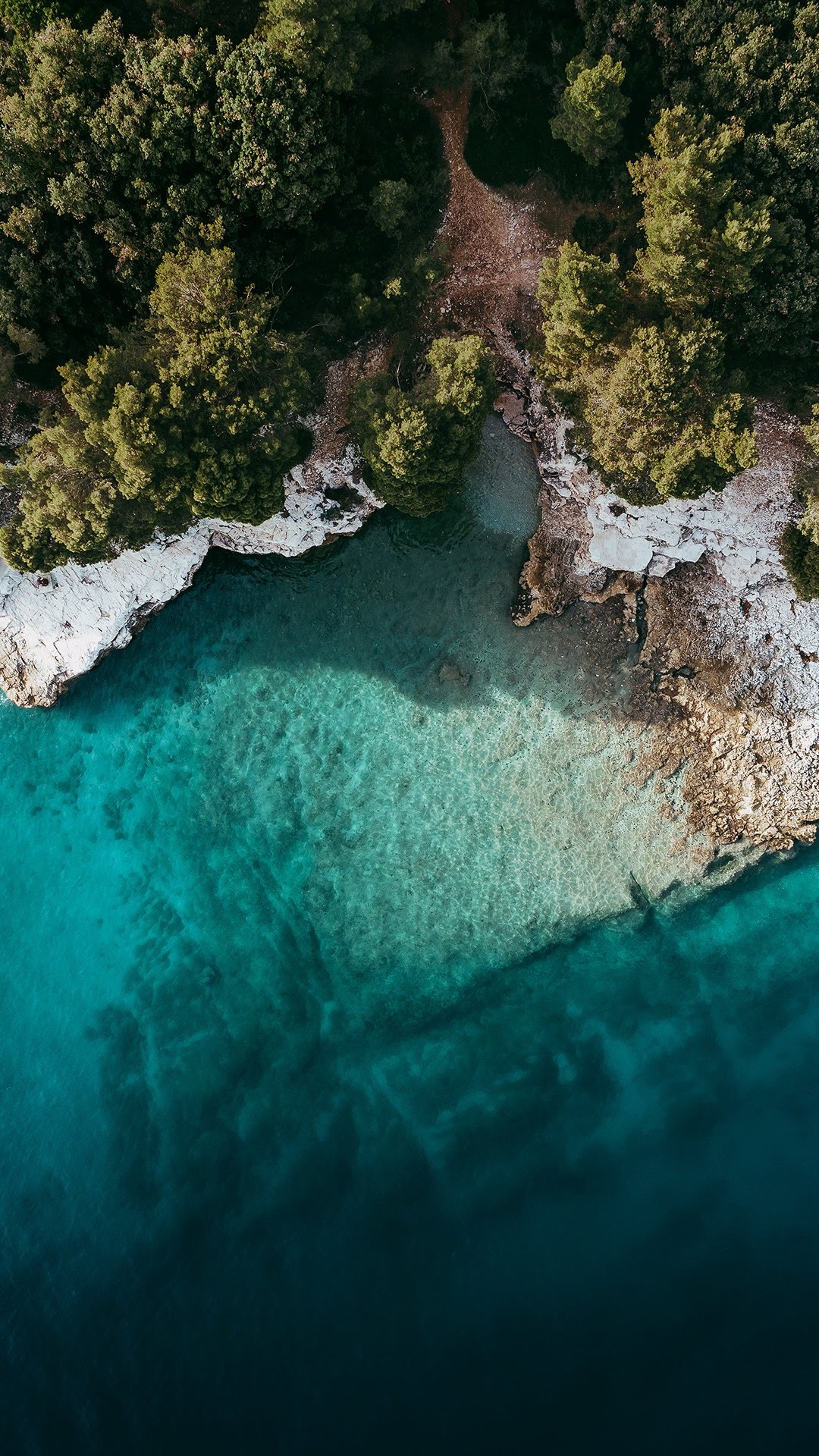 Xiaomi, MIUI 12, 小米mi 9t Pro, 安卓, 人体内的水 壁纸 1080x1920 允许