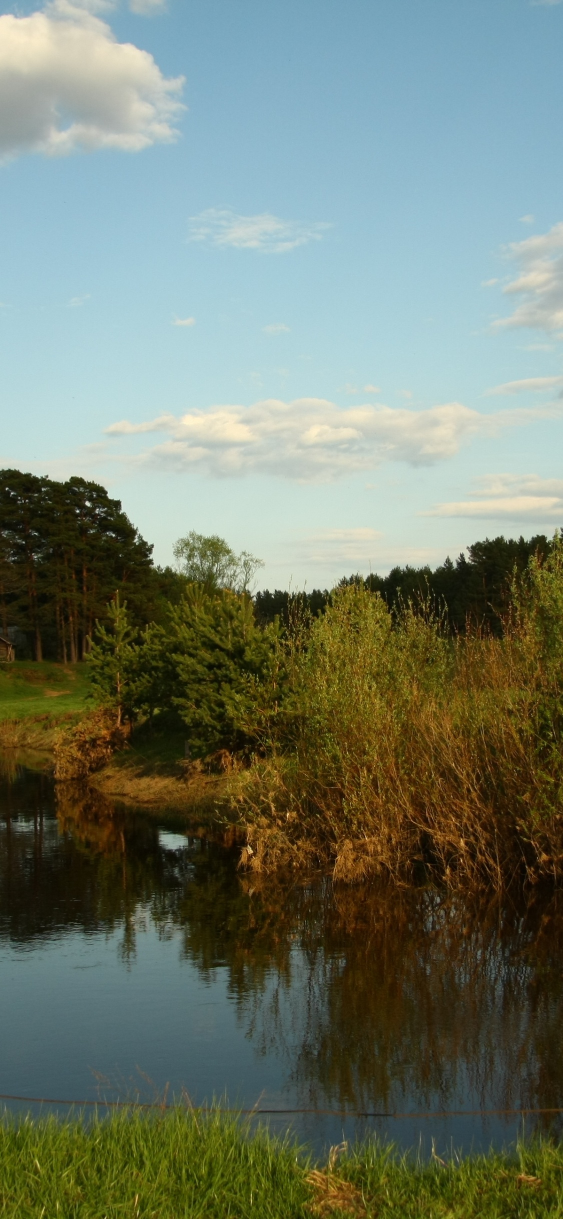 Arbres Verts à Côté de la Rivière Sous un Ciel Nuageux Pendant la Journée. Wallpaper in 1125x2436 Resolution