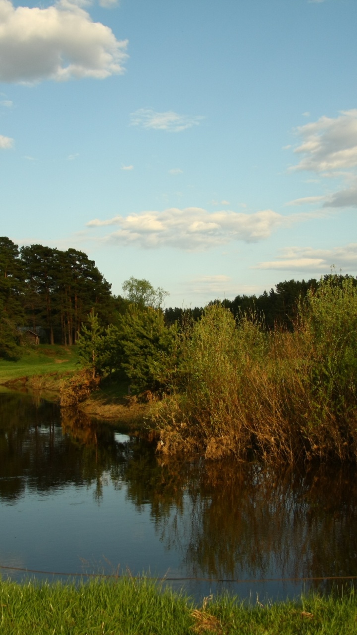 Green Trees Beside River Under Cloudy Sky During Daytime. Wallpaper in 720x1280 Resolution