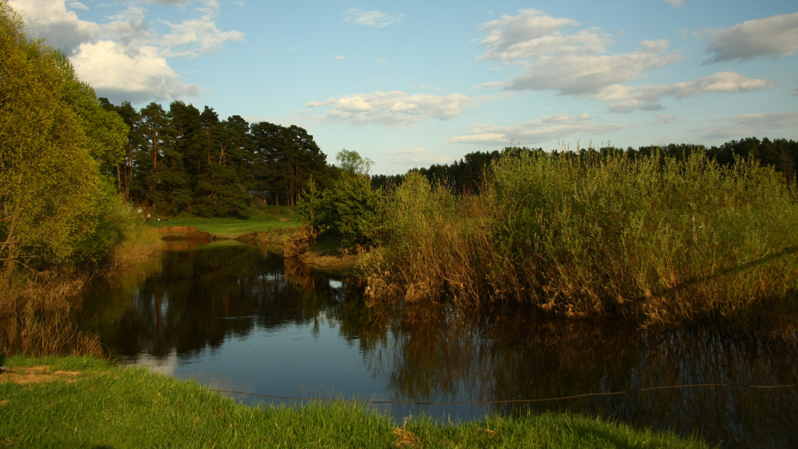 Grüne Bäume Neben Dem Fluss Unter Bewölktem Himmel Tagsüber. Wallpaper in 2560x1440 Resolution