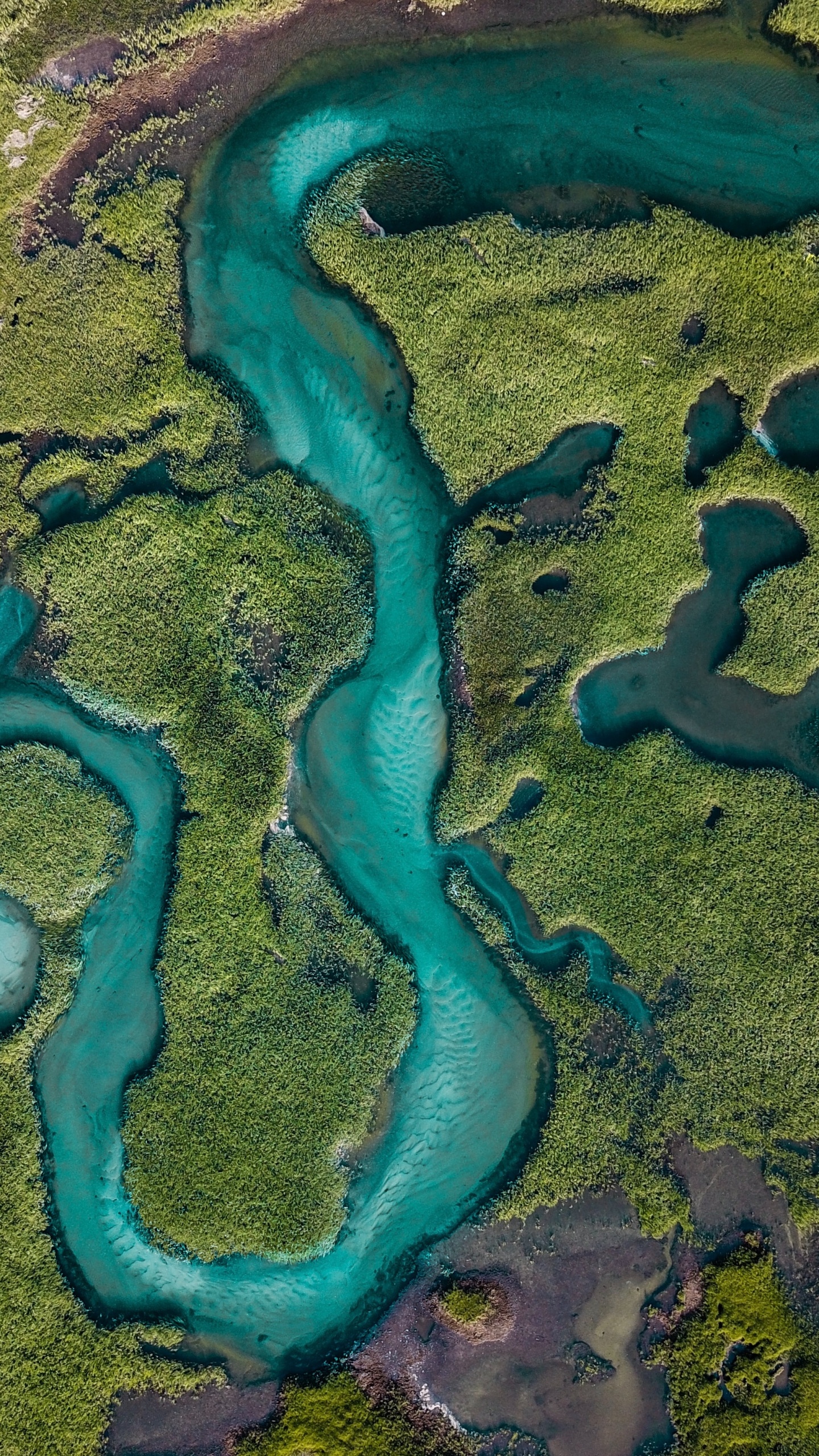 水资源, 河口, 水道, 生态区, 美国 壁纸 1440x2560 允许