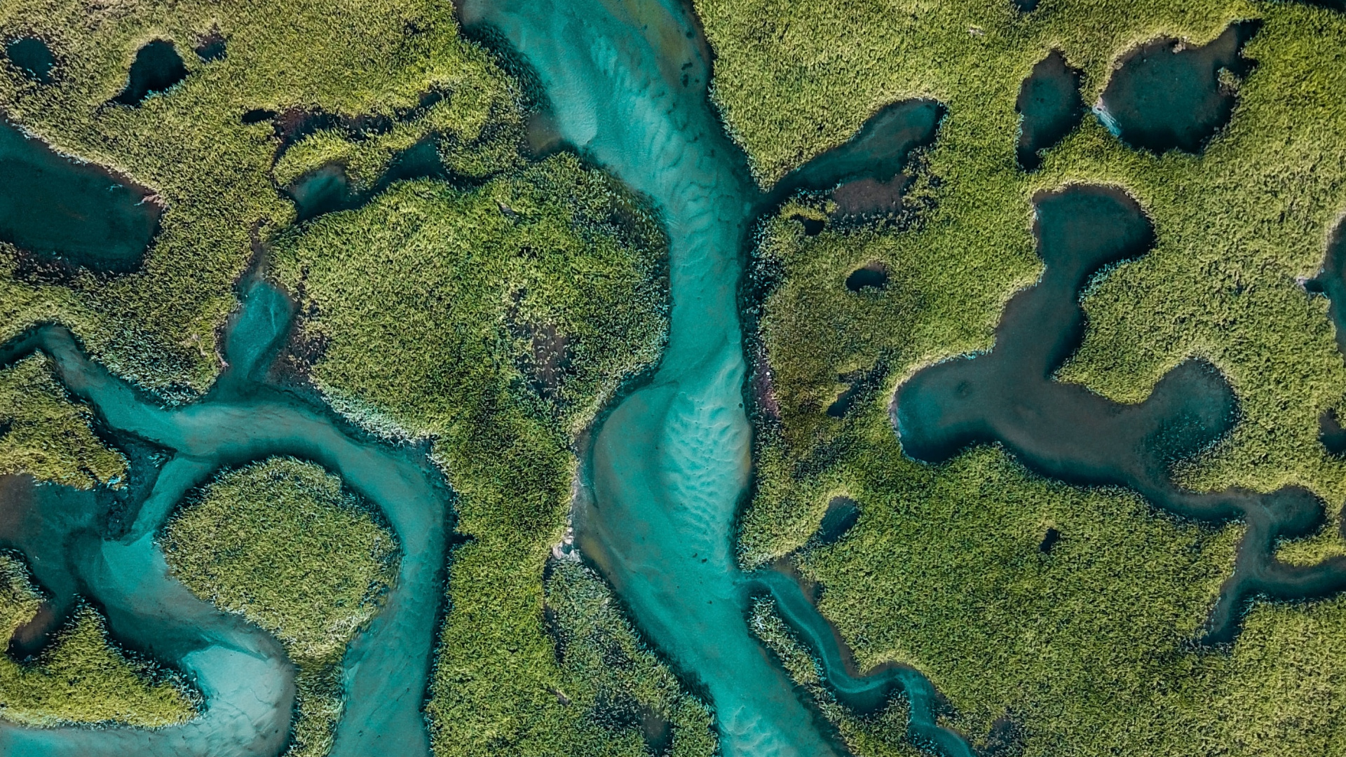 水资源, 河口, 水道, 生态区, 美国 壁纸 1920x1080 允许