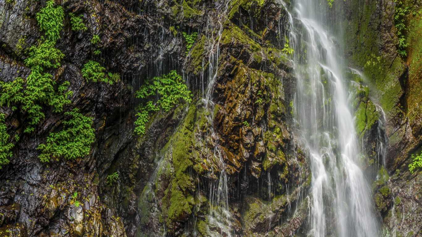 Wasserfälle Mitten im Wald. Wallpaper in 1366x768 Resolution