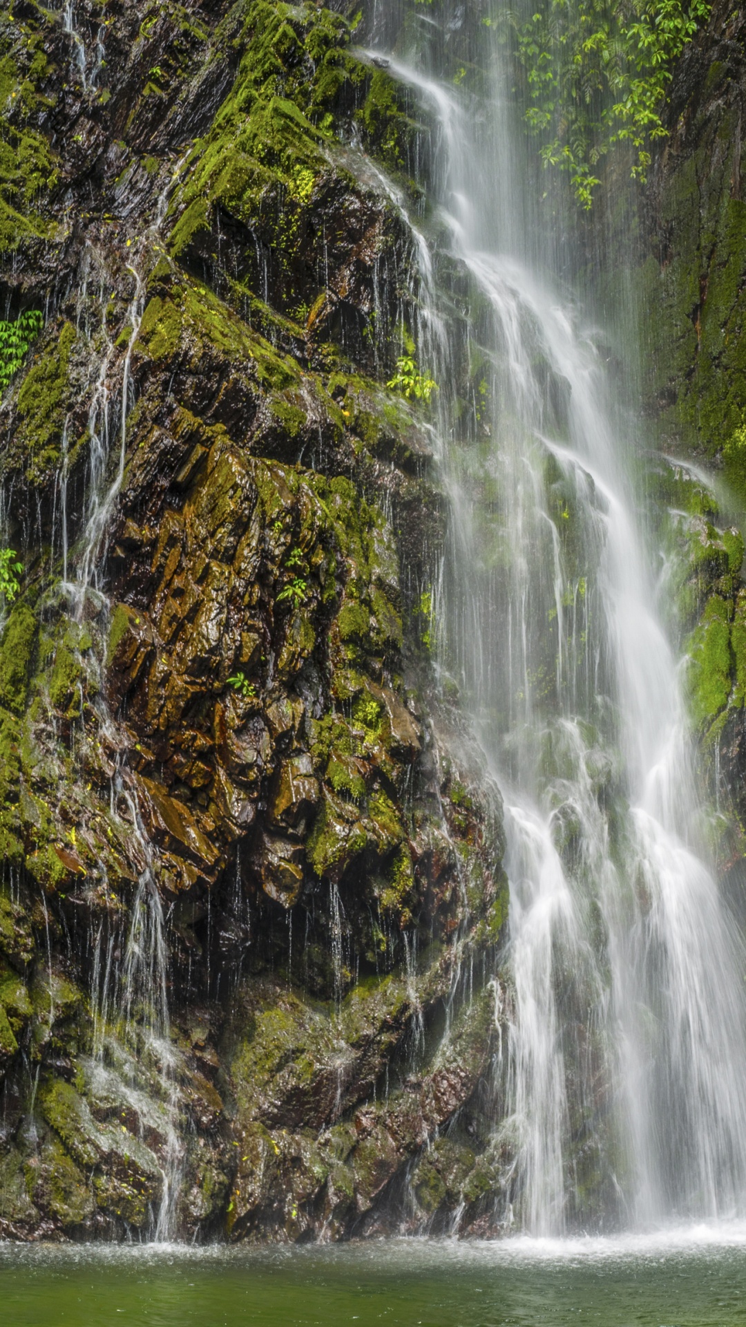 Waterfalls in The Middle of The Forest. Wallpaper in 1080x1920 Resolution