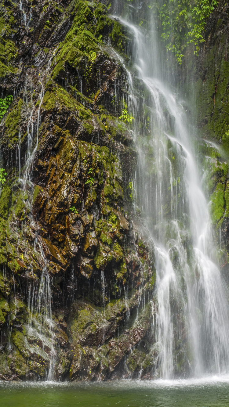 Waterfalls in The Middle of The Forest. Wallpaper in 750x1334 Resolution