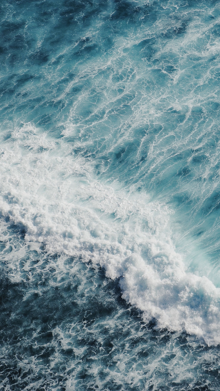 Oceano, Mar, Arrecife de Coral, Playa, Agua. Wallpaper in 750x1334 Resolution