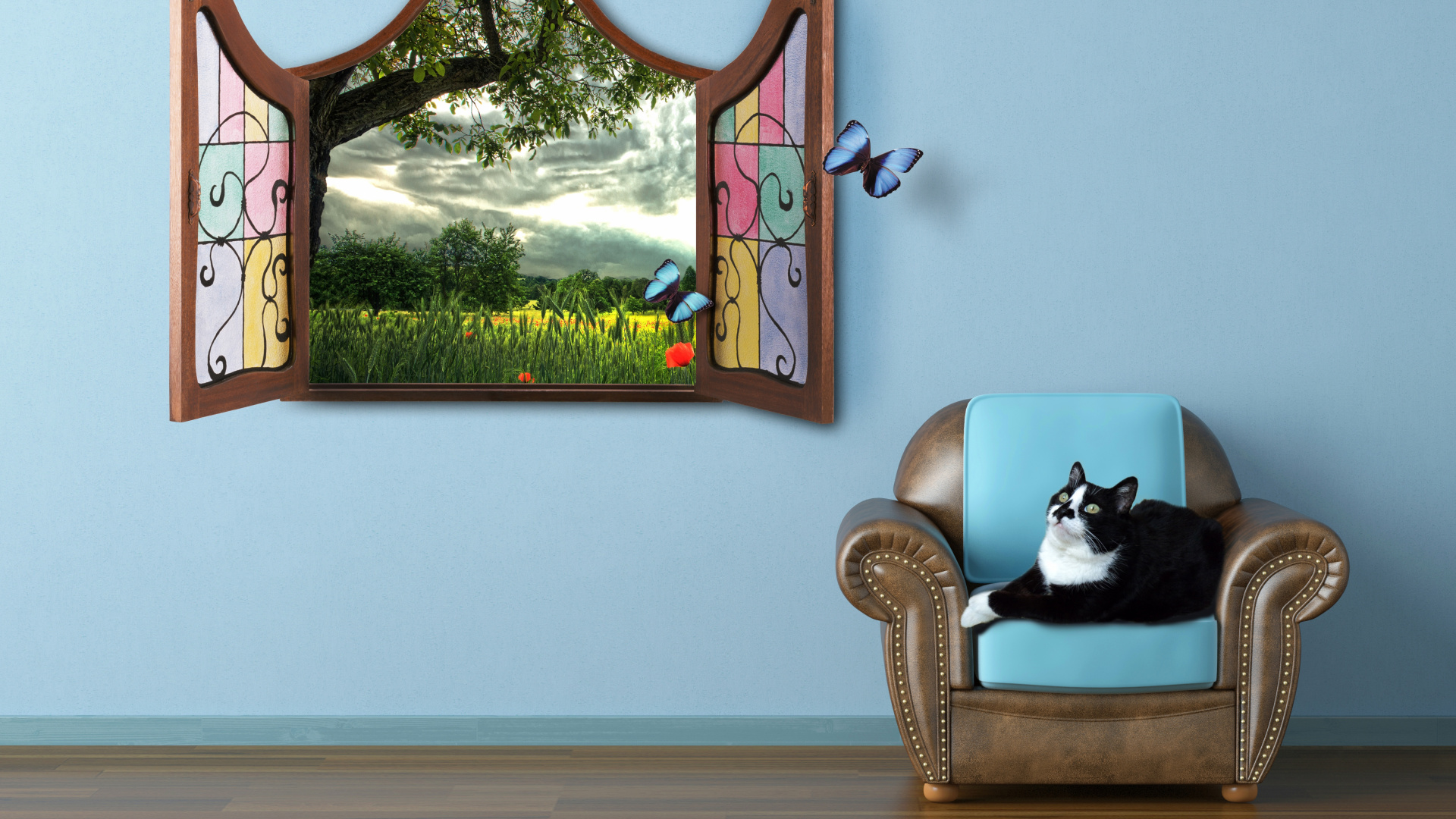 Black and White Cat on Brown Wooden Chair. Wallpaper in 1920x1080 Resolution