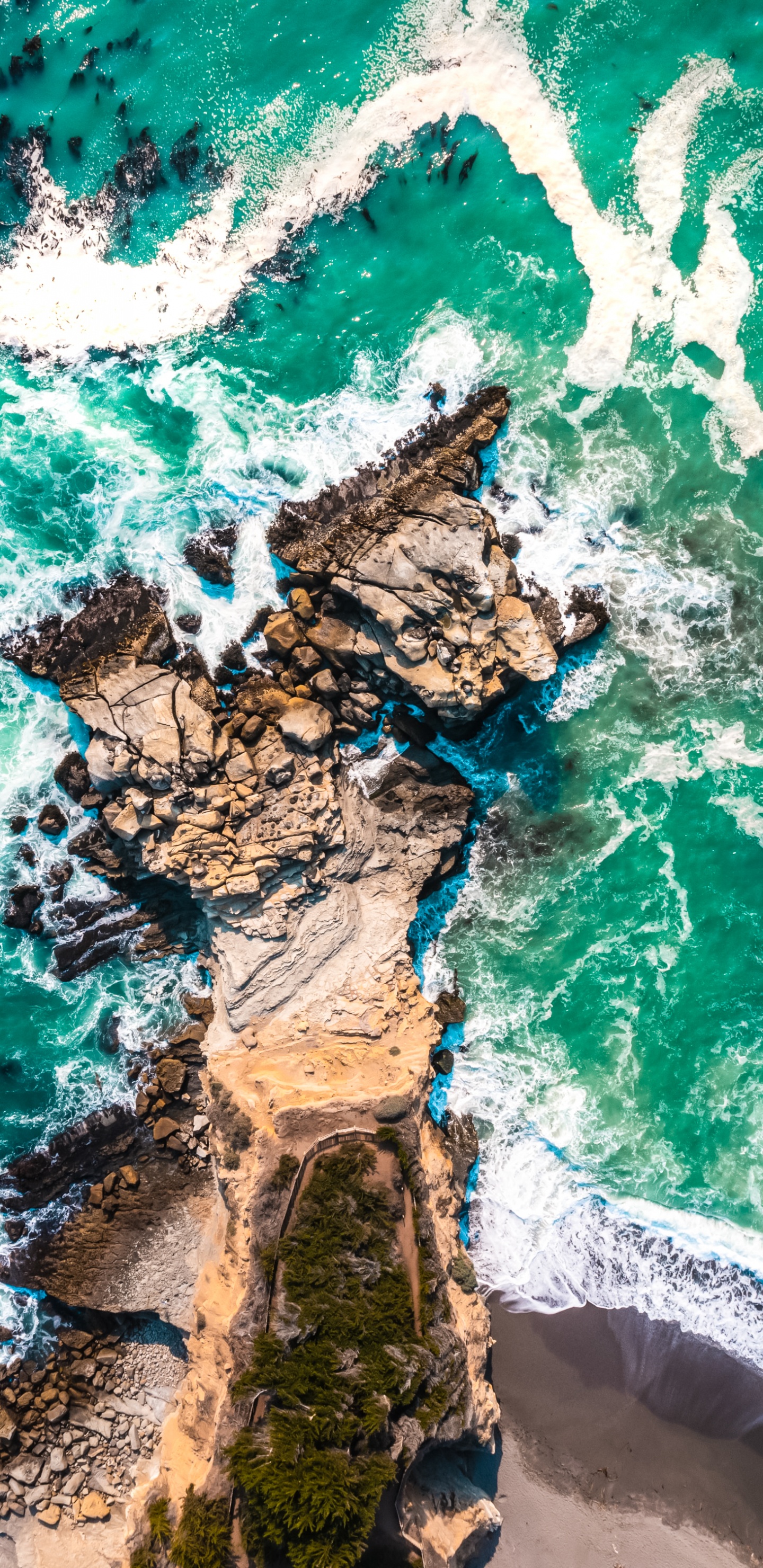 Blackview, Android, Rugged Smartphone, Smartphone, Telephone. Wallpaper in 1440x2960 Resolution