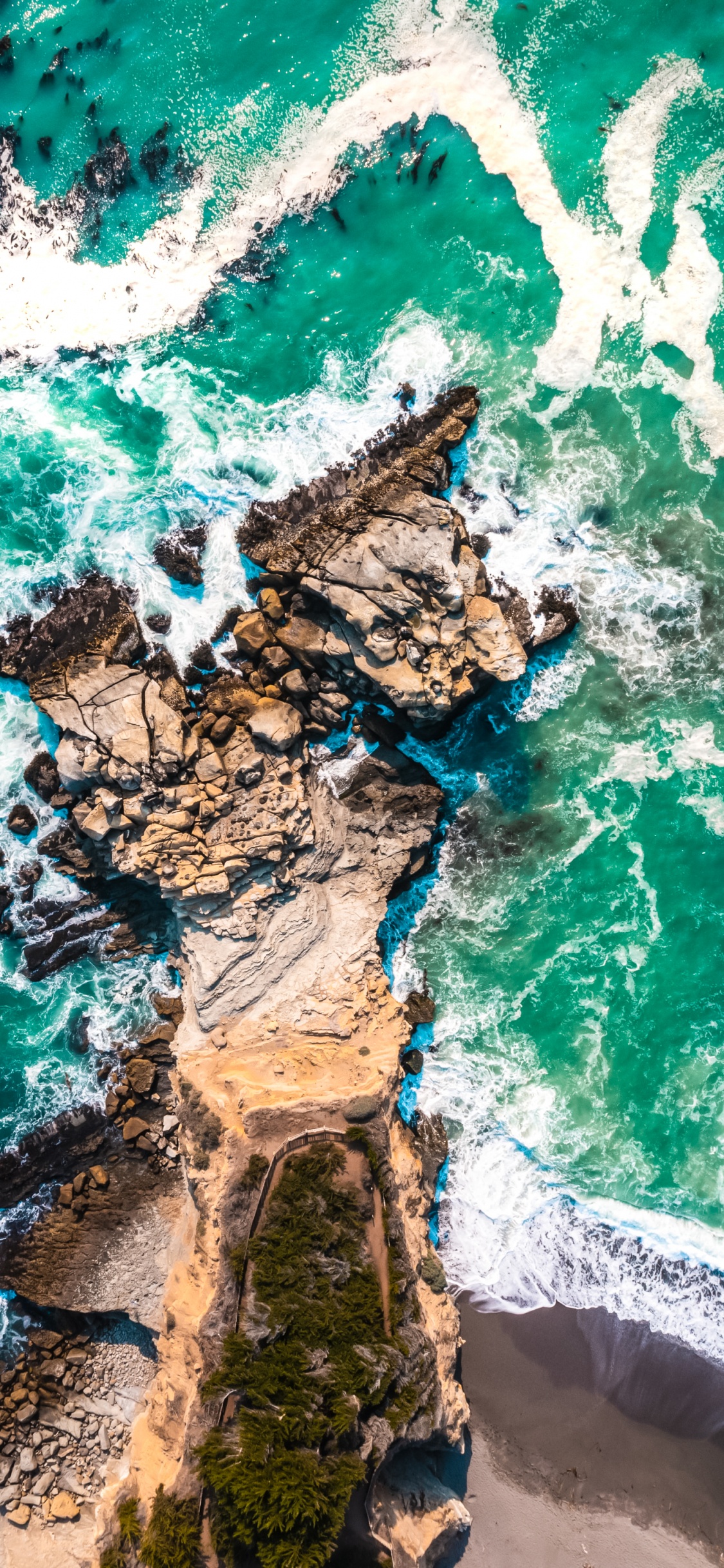 Blackview, Android, Teléfono Inteligente Resistente, Smartphone, Teléfono. Wallpaper in 1125x2436 Resolution